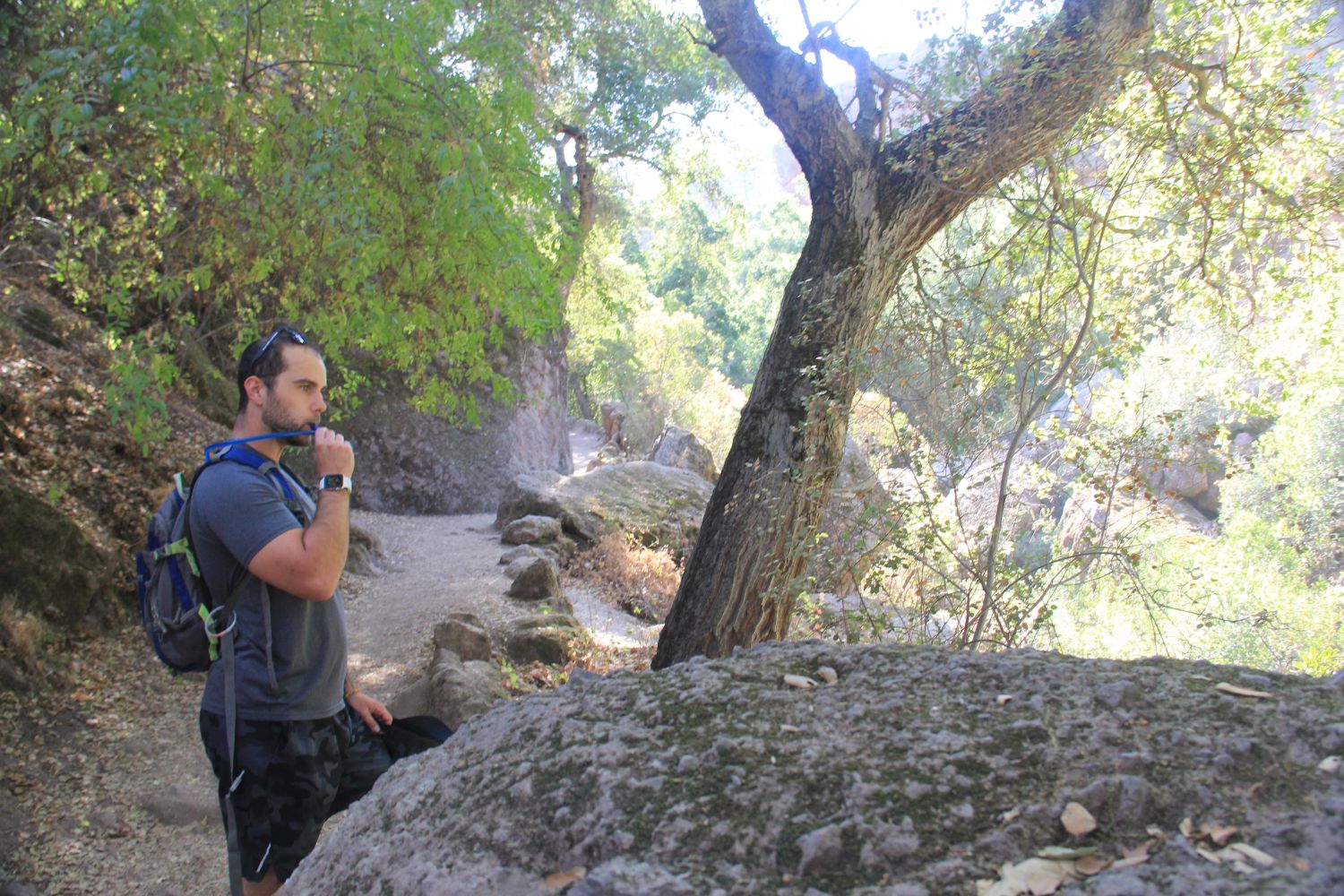 Bear Gulch Cave Trail 